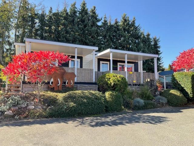 Zu Jeddelohs Bungalows & Apartments -Adult Friendly Gladenbach Buitenkant foto