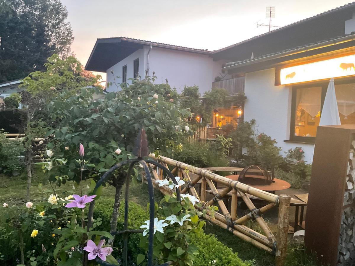 Zu Jeddelohs Bungalows & Apartments -Adult Friendly Gladenbach Buitenkant foto
